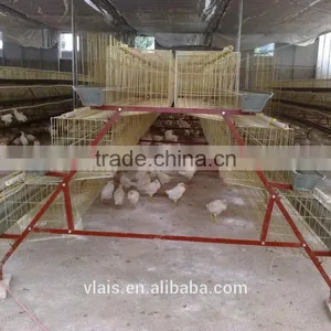 Chicken Adult Cage on Sale. thumbnail-1