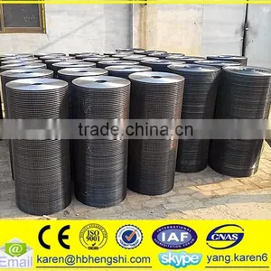 Iron Welded Wire Mesh thumbnail-5
