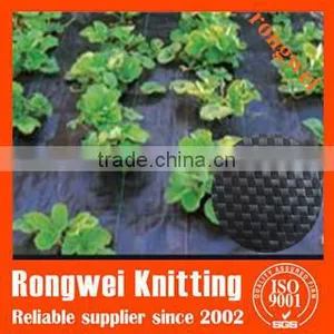 Black Ground Cover thumbnail-1