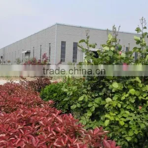 The Latest Tech Batch Type 10-15tons per Day Waste Tyre Recycling Machine With CE thumbnail-5
