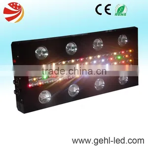 Energy Effecient Led Grow Light Solutions for Greenhouse Hydroponics thumbnail-2