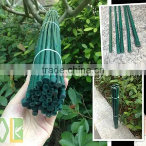 Green Bamboo Dried,round Flower Sticks for Sale thumbnail-3