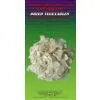 China Dehydrated Garlic Flakes thumbnail-2