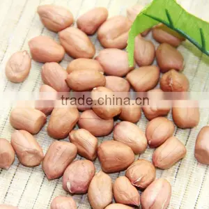 Long Type Red Skin China Big Size Peanut thumbnail-1