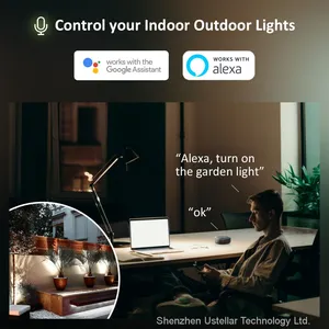 60W Tuya Smart LED Flood Lights WiFi Wireless RGBCW Multi Colors IP66 Outdoor LED Flood Light Work With Alexa/Google Home thumbnail-3