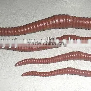 Supply Artificial Floating Baits,mini Lures,carp Lures thumbnail-1