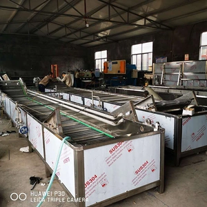 Vegetable Washing Machine Price Industrial Vegetable Washer Automatic Fruit Washing Machine thumbnail-4
