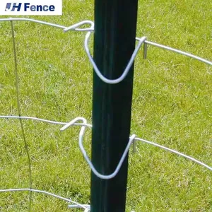 Galvanized Powder Coated Fence Post Metal Star Picket T Post Fence Posts for Farm Fence thumbnail-1