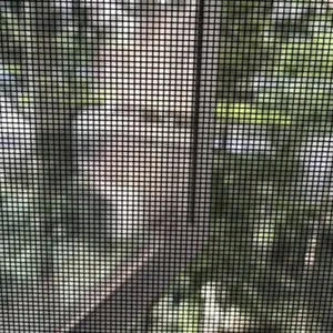 304 Stainless Steel Fly Screen Mesh for Food Processing Plant Insect Control 18 Mesh thumbnail-5