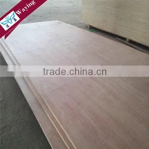 Okuma Plywood thumbnail-5