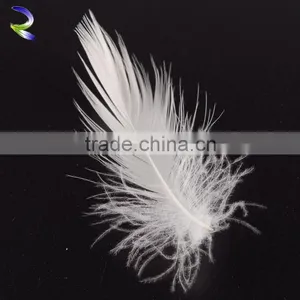 5 Star Hotel Used Washed White Goose Feather for Wholesale thumbnail-6