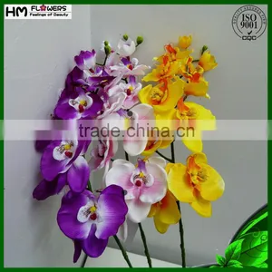 Dried Flowers Preserved Orchids Preserved Flowers thumbnail-4