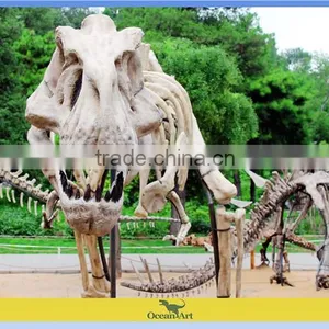 Animated T-rex Dinosaur Skeleton Model thumbnail-2
