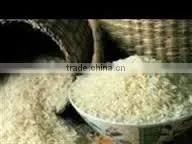 CHEAPEST PRICE THAI JASMINE FRAGRANT RICE BRANDS HIGH QUALITY thumbnail-2