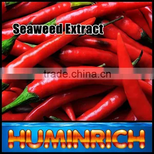 FAQ 19--Application Of Seaweed Extract Fertilizer On Vegetable thumbnail-2