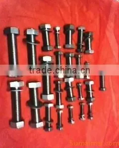 Titanium Screw Accessory thumbnail-1