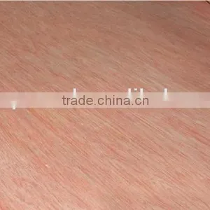 Rotary Cut Bintangor Wood Face Veneer for Plywood thumbnail-4