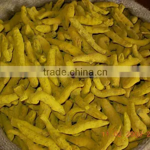 Turmeric Polished Finger and Powder thumbnail-1