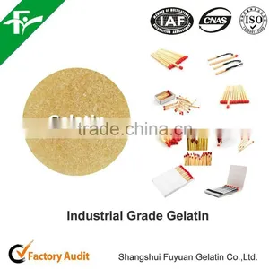 Buy Industrial Technical Gelatin thumbnail-5