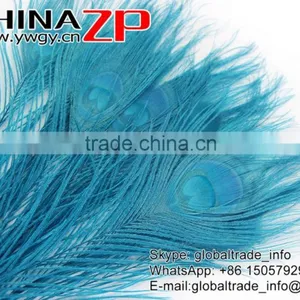 CHINAZP Leading Supplier Wholesale Cheap Full Eye Dyed Turquoise Blue Peacock Tail Feathers for Sale thumbnail-4