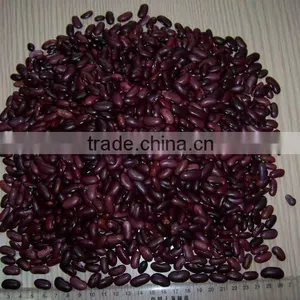 Kinds of Kidney Bean 2015 New Crop thumbnail-5