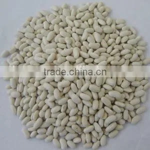 2015 White Kidney Beans for Sale With Cheaper Price From China thumbnail-3