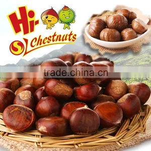 Quick Freezing Roasted Chestnut In Shell thumbnail-6