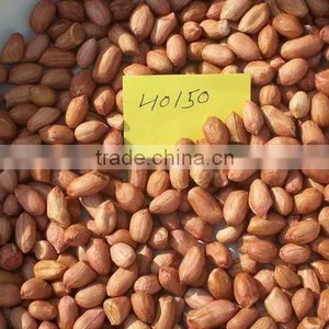 Peeled Peanut thumbnail-1