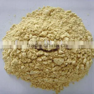 AD Onion Powder Dehydrated Yellow Onion Powder thumbnail-1