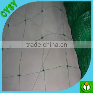 Heavy Duty Long-lasting 100% Virgin pe Quality Plant Support Net, Climbing Plant Net, Cucumber Mesh Netting thumbnail-1