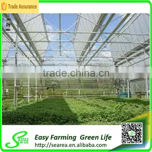 Polycarnonate Sheeting Greenhouse for Sale thumbnail-2