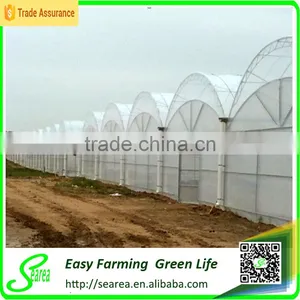 Searea Snow Proof Single Tunnel Greenhouse thumbnail-1
