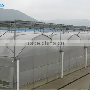 BaoLiDa Agriculture Used Greenhouse thumbnail-1