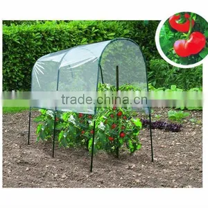 Hobby Greenhouse thumbnail-1