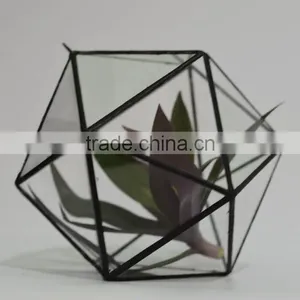 Micro Landscape Glasshouse Clear Glass Globe Hanging Terrarium thumbnail-1