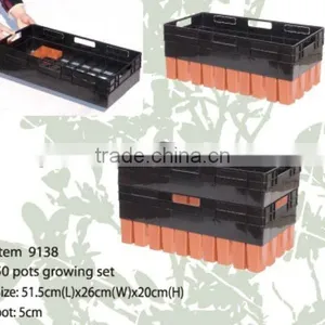 50 Cell Thermoforming Plastic Flower Nursery Seedling Tray for Seed Propagation thumbnail-2