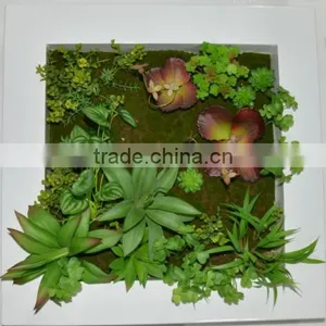 SJ400930 ARTIFICIAL CACTUS ARRANGEMENT thumbnail-4