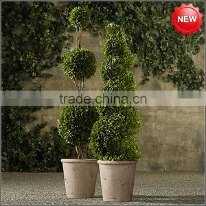 Fresh Keep Boxwood Ball Topiary thumbnail-3