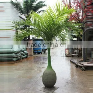 LXY081909 Bottle Shape Cheap Artificial Trees Ornamental Palm Tree Artificial Plastic Coconut Tree thumbnail-1