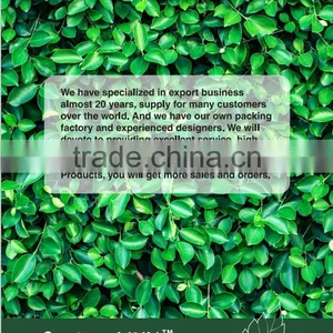 2017 Catalogue for Garden Tools-2, Ningbo United Products International Ltd. thumbnail-2