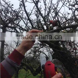 Garden Pruning Shear thumbnail-1