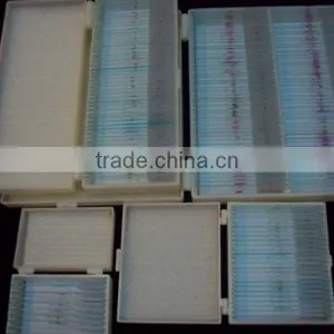 100 Pcs /boxes ON SALE Student Clinic Teaching Microscope Prepared Glass Slides Boxes thumbnail-1