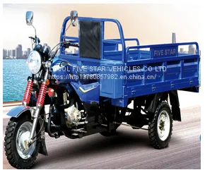 Gasoline Tricycle Cargo Loader Lovol Three Wheeler Mali Ethiopia Ghana Bukina Faso Tanzania Kenya Senegal Togo Benin Nigeira Mauritania Angola Burundi Chad Cameroon C ô te D'Ivoire Gabon Guinea Mozambique Rwanda Congo Uganda Zimbabwe thumbnail-1