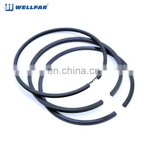 New Arrival Wholesale High Quality Engine Spare Parts 75mm Piston Rings For PEUGEOT thumbnail-2