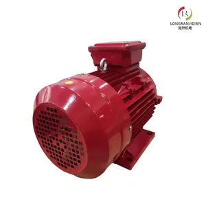 Ie3 Premium Efficiency Electric Motor thumbnail-5