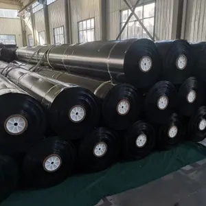 8m Wide 2.5mm Thick ASTM-GRIGM13 Hdpe Geomembrane Price thumbnail-1