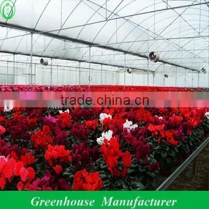 Used Agricultural Greenhouses Sale thumbnail-1