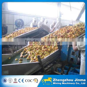 Stainless Steel Fruit Belt Conveyor Price thumbnail-3