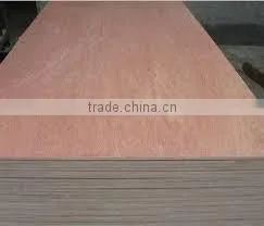 Bintangor Plywood/Keruing Plywood/Sapele Plywood/Agathis Plywood thumbnail-1