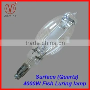 4000W Quartz Bulb Fish Bubble Lamp thumbnail-1